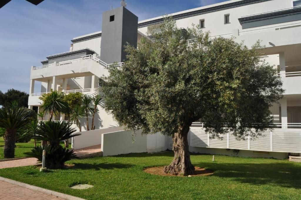 Oasis Hoyo 12 - Oliva Nova playa MET&GOLF Apartment Bagian luar foto
